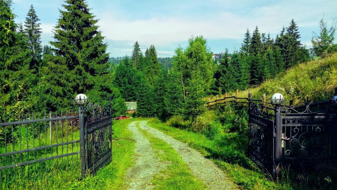Гостьовий Дім "У Ані" Yablunytsia Dış mekan fotoğraf