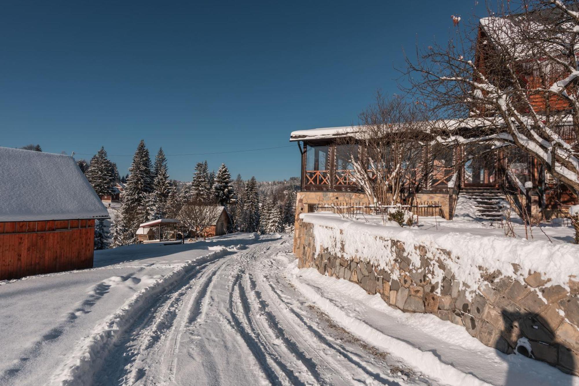 Гостьовий Дім "У Ані" Yablunytsia Dış mekan fotoğraf